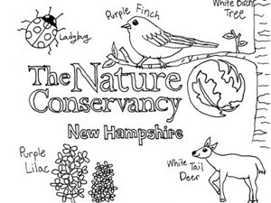 Hand-drawn image of The Nature Conservancy logo, a lady bug, purple finch, white-tailed deer, white birch tree and purple lilac.