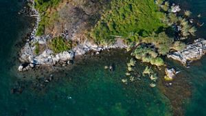 Aerial view of a rocky nearshore habitat.