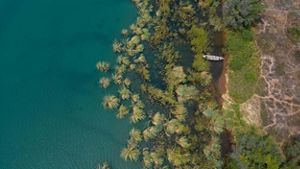 Aerial view of the lake shore.