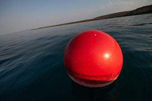 A bright red buoy floats on the surface of the water.