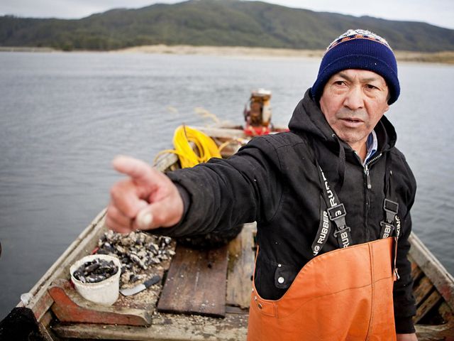 TNC Chile trabaja con comunidades de pescadores artesanales para mejorar sus prácticas y con ello su información de captura e ingresos.
