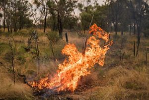 a small controlled burn in a dry grassland.