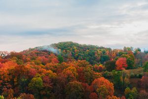 Cumberland Forest fall foliage