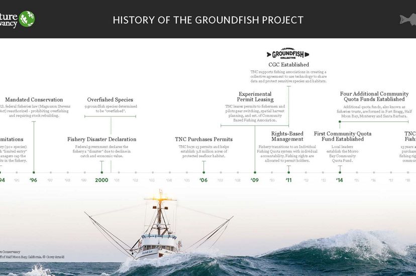A poster showing the timeline of the history of the TNC Groundfish Project.