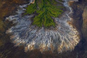High-altitude view of forests and rivers branching out over land.