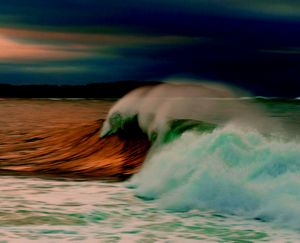 La conservación marina y la vida que depende de ella 