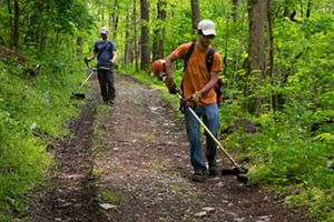 Two TNC employees use weed trimmers to clear hiking trails.