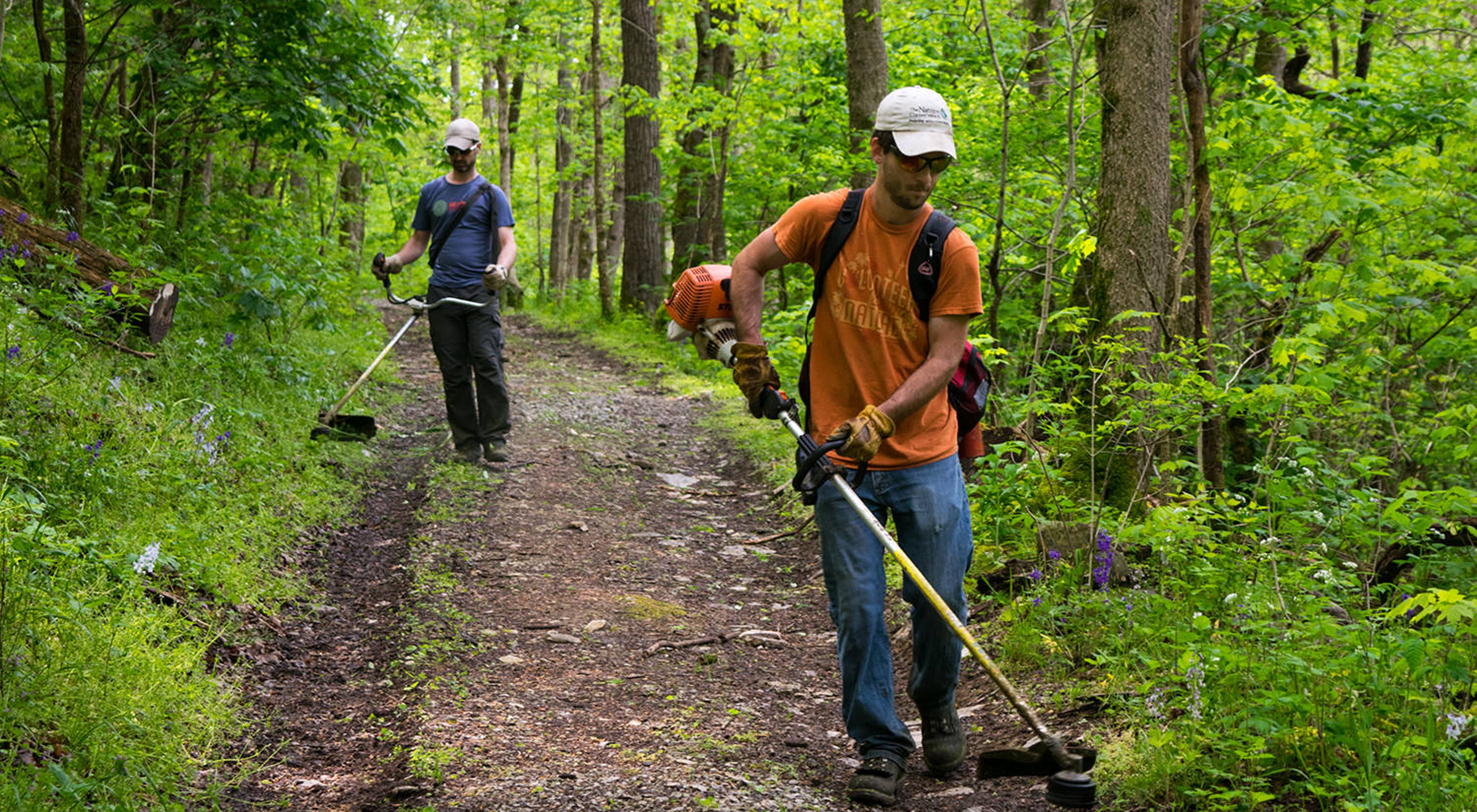 Two TNC employees use weed trimmers to clear a hiking trail.