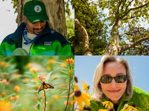 A collage of four photos, 2 from TNC's 75th anniversary special collection products from Parks Project include a hat and fleece sweater, and 2 photos of nature (a sycamore tree and a butterfly in a field of flowers).