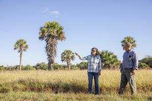 A woman and man stand together talking in a field with palm trees in the background.