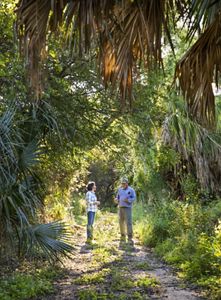 A man and a woman stand on a trail surrounded by dense palm trees and other tropical vegetation.