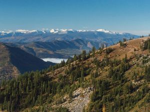Forested mountain landscape with fog in the valley bottom.