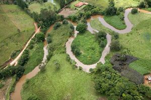 an aerial image of a winding river in Brazil surrounded by cleared agricultural land