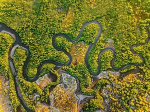 Río serpenteando entre manglares. Alligator Creek, Queensland, Australia