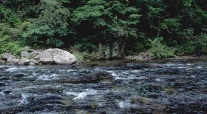 The Conasauga River in Tennessee rushes past rocks and trees along the bank.