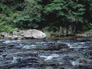 The Conasauga River in Tennessee rushes past rocks and trees along the bank.