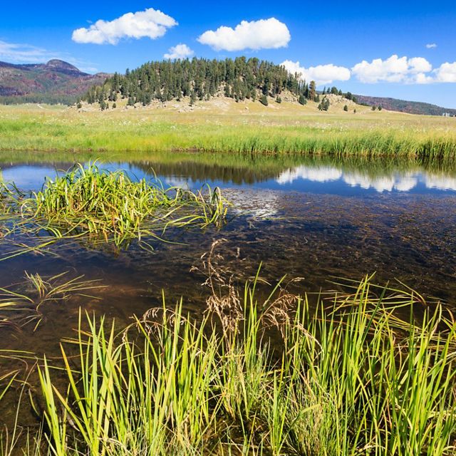 Wetlands at Valles Caldera National Preserve. New Mexico’s Rio Grande and its tributaries supply water to more than half of New Mexico’s population.