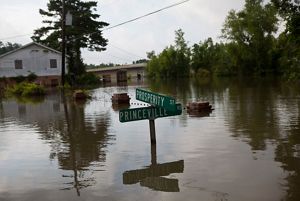 The flooded overflow banks from the Mississippi River in St. Francisville, Louisiana.