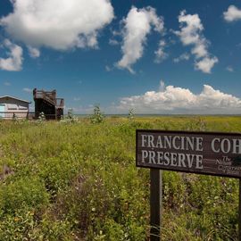 A sign reading the Francine Cohn Preserve, The Nature Conservancy of Texas, sits in front of a building along a beach.