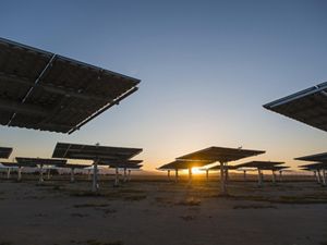 Solar panels at sunset. 
