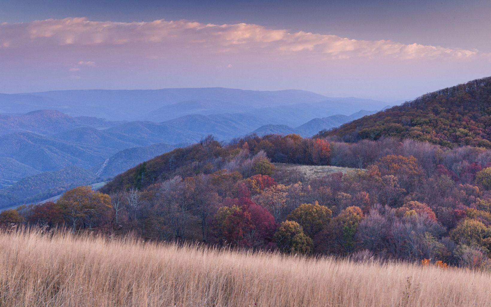 Pike Knob Preserve This preserve in West Virginia's Central Appalachians is located in an area that acts as part of the headwaters of the Chesapeake Bay. © Kent Mason