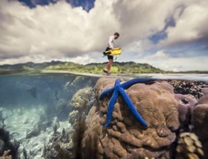 A split view between a blue starfish on coral reef under water in the foreground and a person standing over the water looking down in the background. 