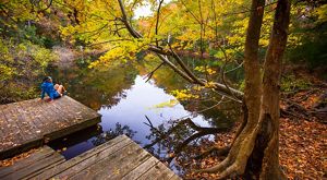 A woman sits on a wooden dock extending into a body of water surrounded by fall trees.