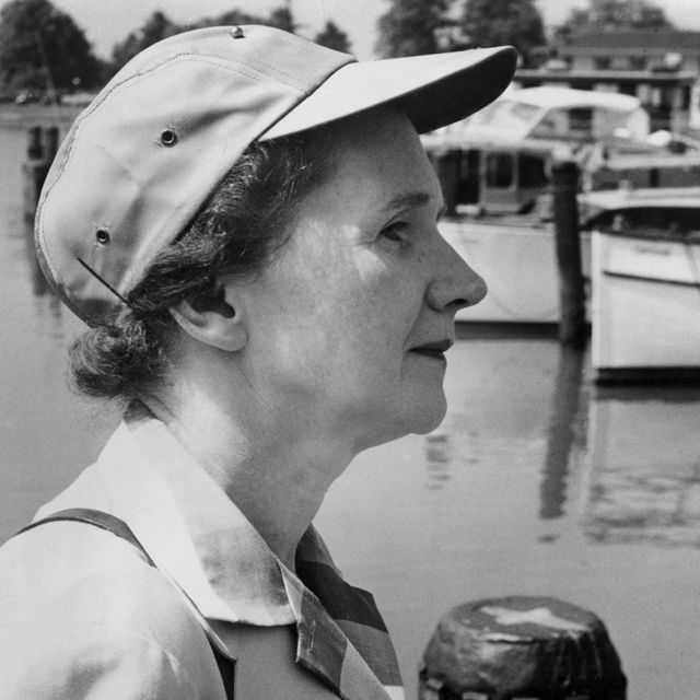 A profile view of Rachel Carson at a boating martina.