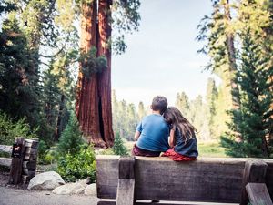 Two kids viewed from behind, sitting on a bench together in a redwood forest.