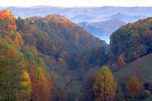 White mist rises from the deep valleys between a series of rolling mountain ridges. The trees on the forests slopes are beginning to show fall colors or gold, red and orange.