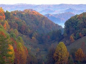 White mist rises from the deep valleys between a series of rolling mountain ridges. The trees on the forests slopes are beginning to show fall colors or gold, red and orange.