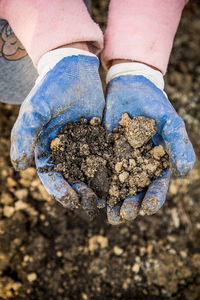 A student from historic Woodlawn High School in Birmingham, Alabama, holds a handful of soil while working on a "conservation lab." 