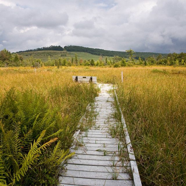 A wide, low wooden boardwalk cuts a path through tall marsh grasses, ending in an overlook point at Cranesville Swamp Preserve. Gray clouds hang low in the sky over a mountain ridge on the horizon.