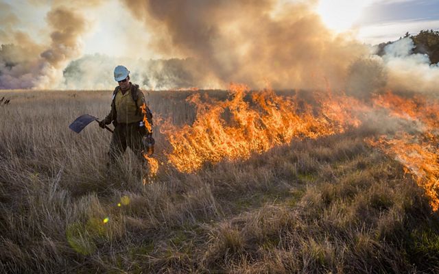A burn crew conducts a prescribed burn in the Willamette Valley of Oregon.