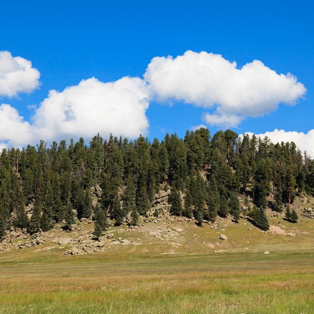 Hillock at Valles Caldera National Preserve. The Rio Grande Water Fund will generate sustainable funding for a 10-30 year program of large-scale forest and watershed restoration treatments.