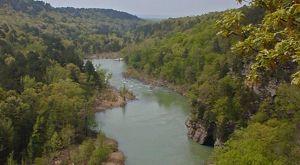 A river running through a forest.