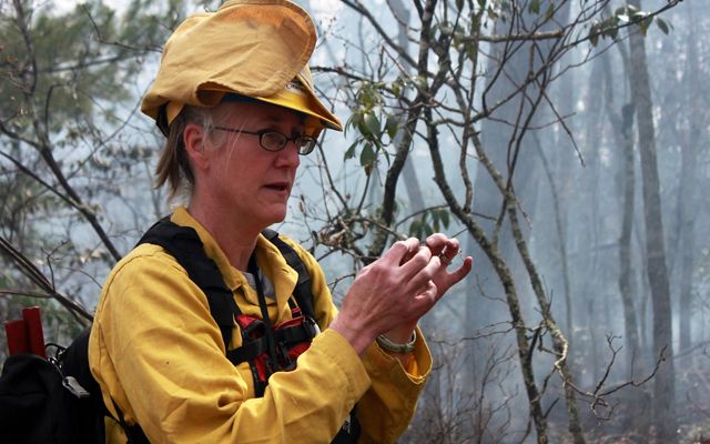 A woman wearing yellow fire retardant gear and hard hat standing in front of a tangled stand of small trees and vines. Smoke rises behind her from a controlled burn.