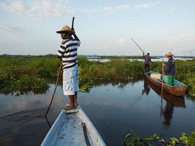 Local fishermen navigate through the Magdalena River Basin in Colombia.