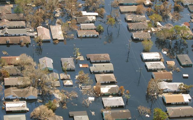 An aerial view of a flooded residential neighborhood in New Orleans, with flood water reaching some house roofs.