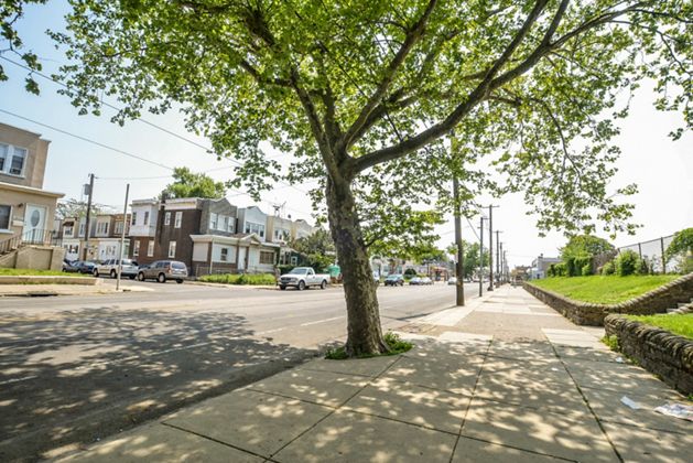 A tree grows on a city sidewalk.
