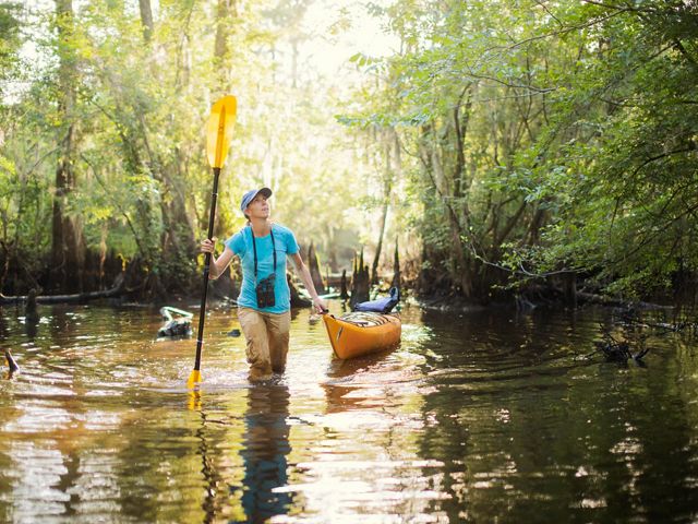 The Conservancy’s Maria Whitehead treks through cypress swamps in South Carolina’s Black River Preserve.