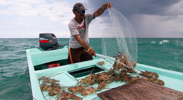 A fisherman wearing a hat and sunglasses pulls a net fu