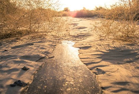 Water trickles forward along dry riverbed.