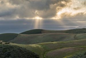 Rolling hills along the shore of the Pacific Ocean.