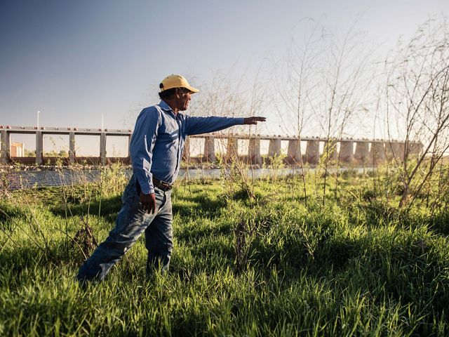 Juan Butron examines new willow saplings that have shot up since the Pulse Flow event in the Spring of 2014. The Morelos dam behind him marks the border between the USA and Mexico and diverts 1.55 million acre feet of the Colorado River into Mexican irrigation canals, supplying water to farmers in the Mexicali Valley as well as to the municipalities of Mexicali, Tijuana and Tecate.