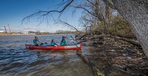 People in a red canoe along the wooded shore of a river near a city.
