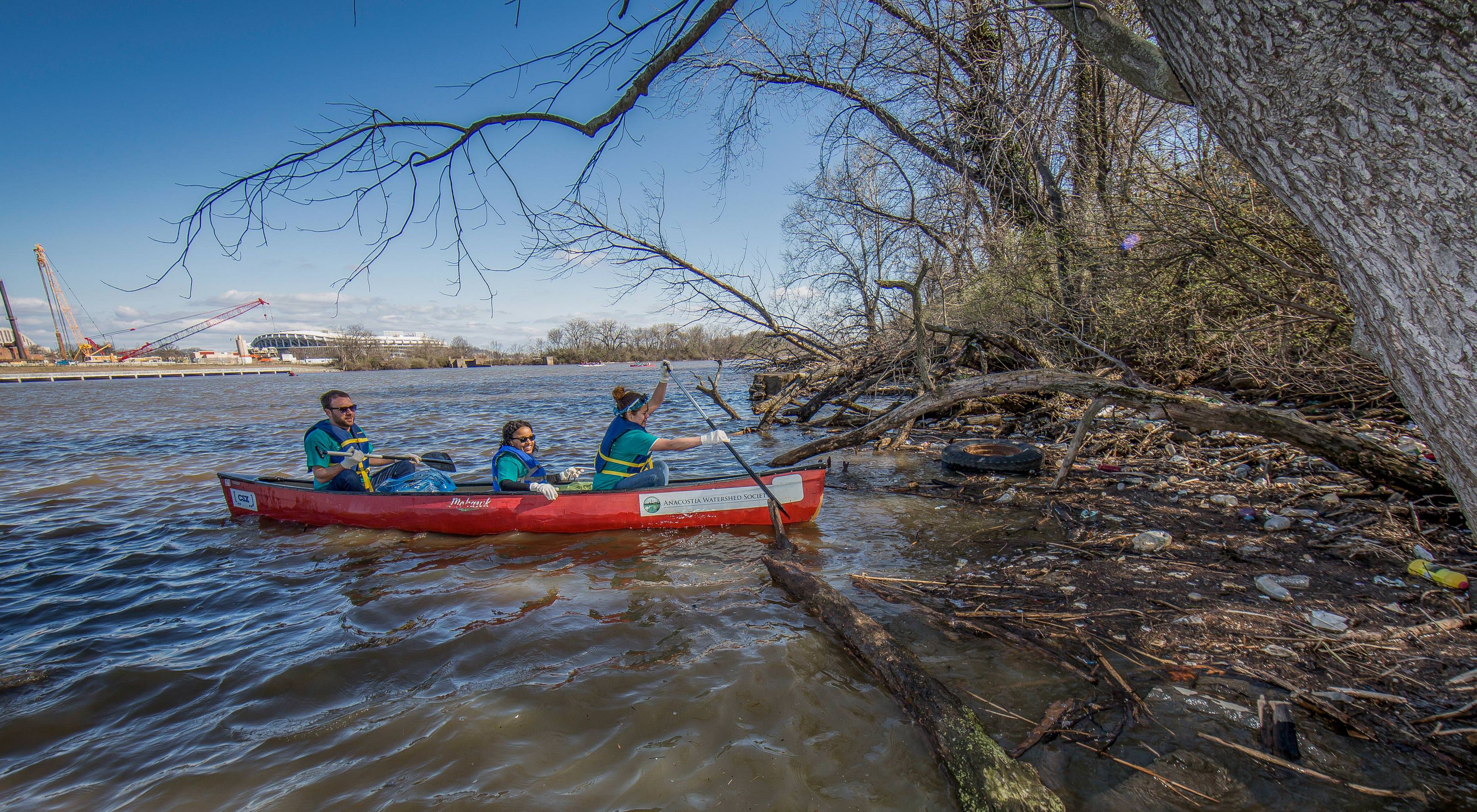 Three people navigate a canoe close to the shore of the Anacostia River to pick up trash in the tangled roots of the trees during a volunteer event.