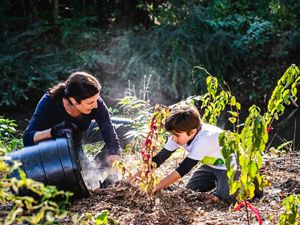 An adult and child place mulch around a newly planted tree.