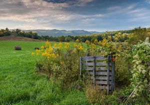 A weathered wooden gate is overgrown by a tall, flowering bush. The mowed pastured behind the gate stretches to a line of tall trees. A mountain ridge rises along the horizon.