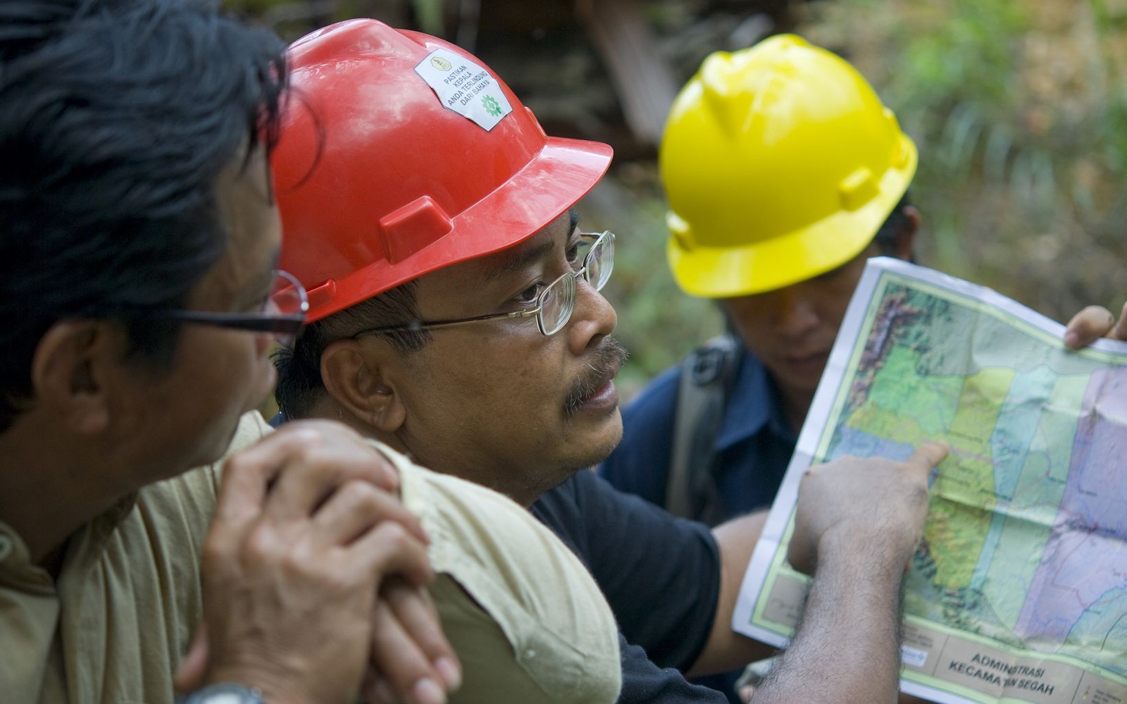 Indonesia The Nature Conservancy's Bambang Wahyudi (center) works with logging companies to practice reduced-impact logging (RIL). © Bridget Besaw